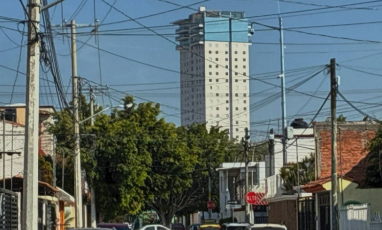 Querétaro, Medio Ambiente, Arbolado Urbano