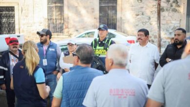 Protección Animal, Morelia, IMPA