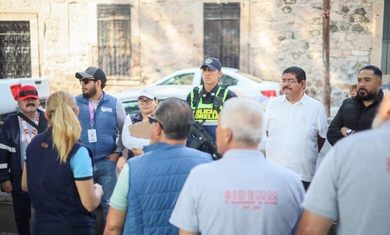 Protección Animal, Morelia, IMPA