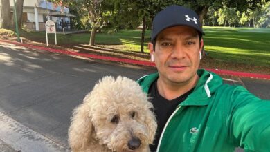 PVEM, Michoacán, Reyes Magos, Mascotas