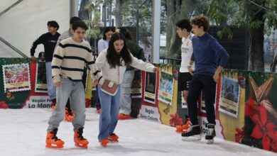 Villa Navideña, Ceconexpo