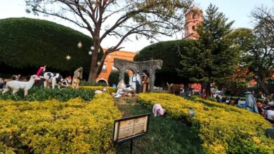 Nacimiento Monumental, Querétaro