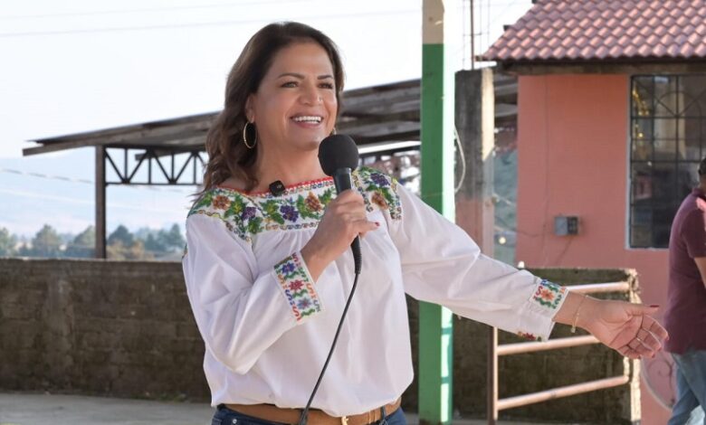 Fabiola Alanís, Morena
