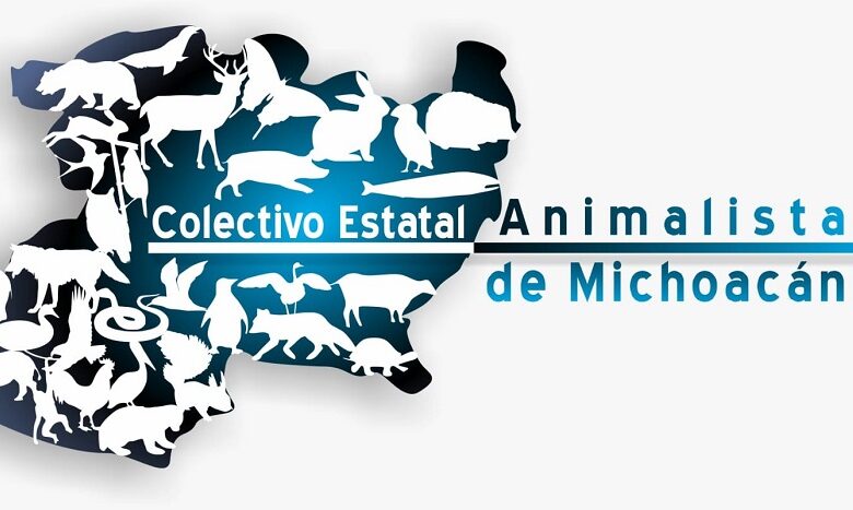 Bienestar Animal, Zoológico de Morelia