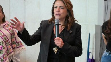 Fabiola Alanís, Morena