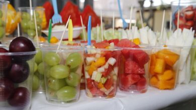 SSM, Regreso a Clases, Temporada Invernal