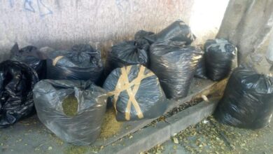 Michoacán, SEMAR, Narcotráfico, Decomiso