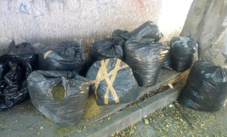 Michoacán, SEMAR, Narcotráfico, Decomiso