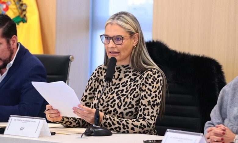 Morelia, Accesibilidad, CAM