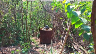 Narcotráfico, Michoacán, Sinaloa, Durango