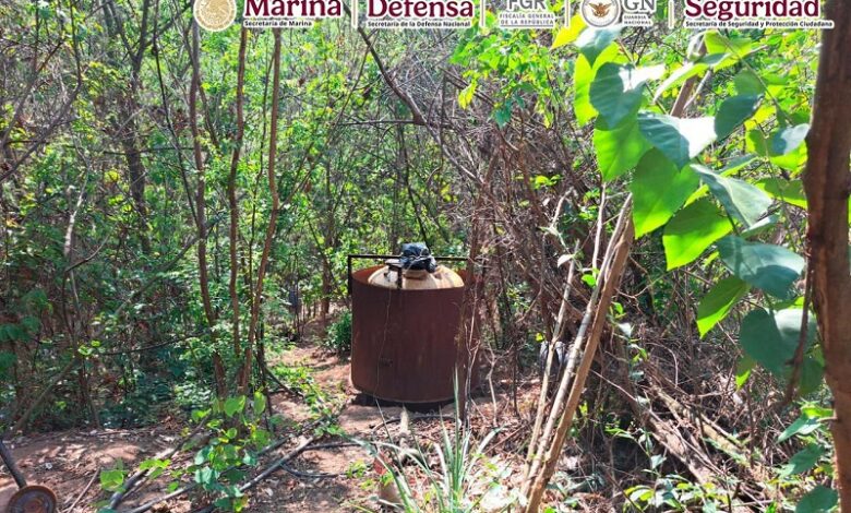 Narcotráfico, Michoacán, Sinaloa, Durango