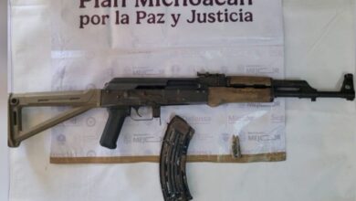 Plan Paricutín, SSP, Sedena, Operativo