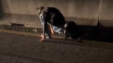 Apatzingán, Michoacán, Accidente