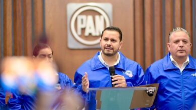 PAN, Armando Tejeda Cid, Claudia Sheinbaum, Plan Michoacán