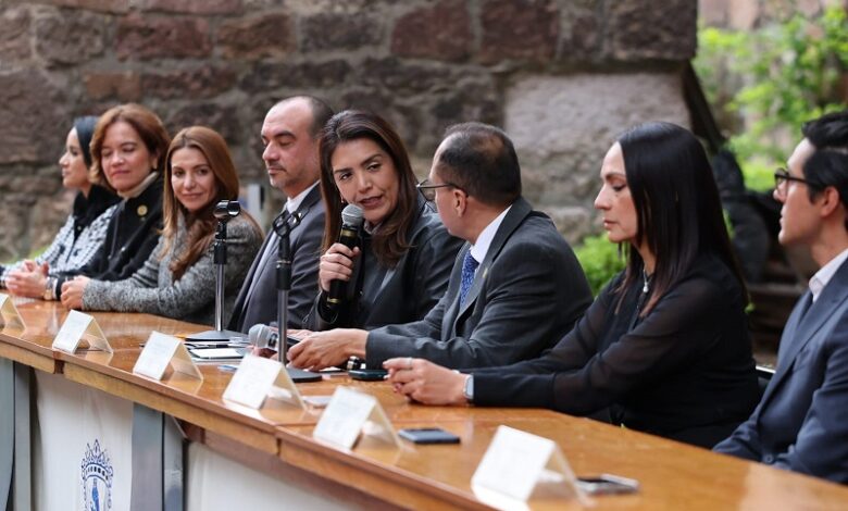 Consejo Ciudadano, Morelia, informe de actividades