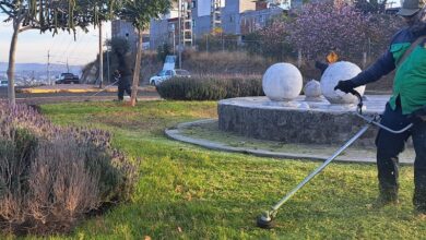 Morelia, Servicios Públicos, limpieza urbana