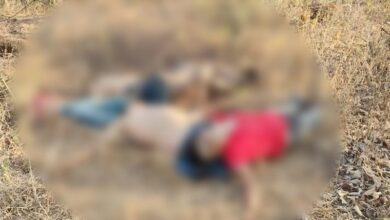 Apatzingán, Michoacán, multihomicidio