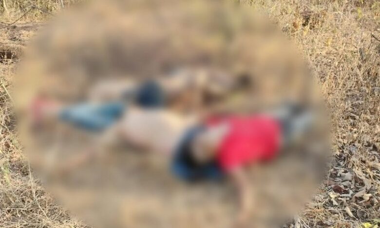 Apatzingán, Michoacán, multihomicidio