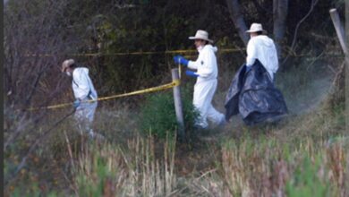 Cuitzeo, homicidio, Lago de Cuitzeo