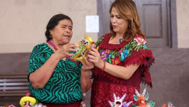 Fabiola Alanís, Michoacán, Plan Michoacán