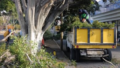 servicios públicos, Morelia