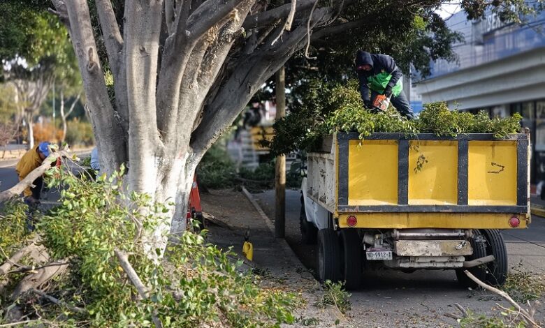 servicios públicos, Morelia