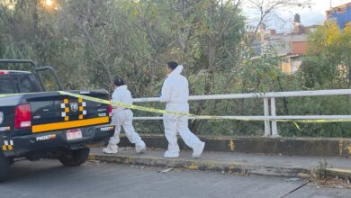 cadáver, seguridad, Morelia