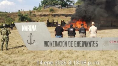 incineración, cocaína, FGR