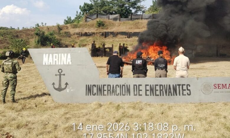 incineración, cocaína, FGR