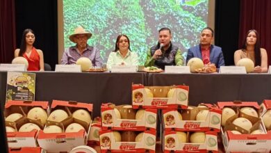 Expo Feria del Melón, Sectur