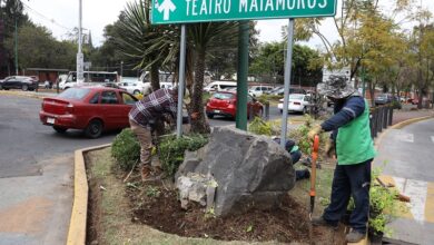 Morelia, Servicios Públicos,