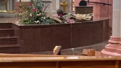 Chavinda, parroquia de Nuestra Señora de Guadalupe , salud mental