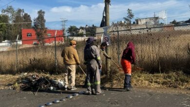 Morelia, Alfonso Martínez, Servicios Públicos