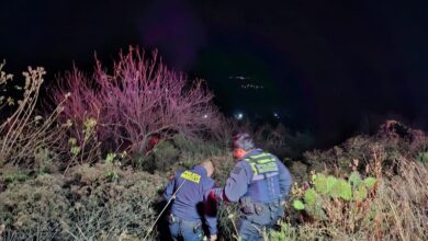 Michoacán, accidente automovilístico