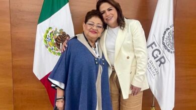 Fabiola Alanís, Ernestina Godoy