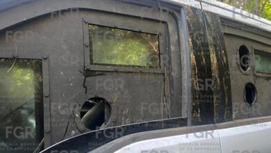 Michoacán, Sedena, Aseguramiento, Narcotráfico