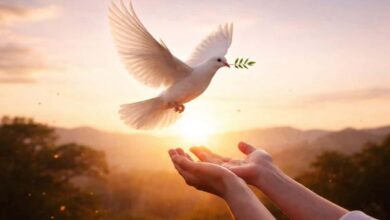 Diálogo Nacional por la Paz