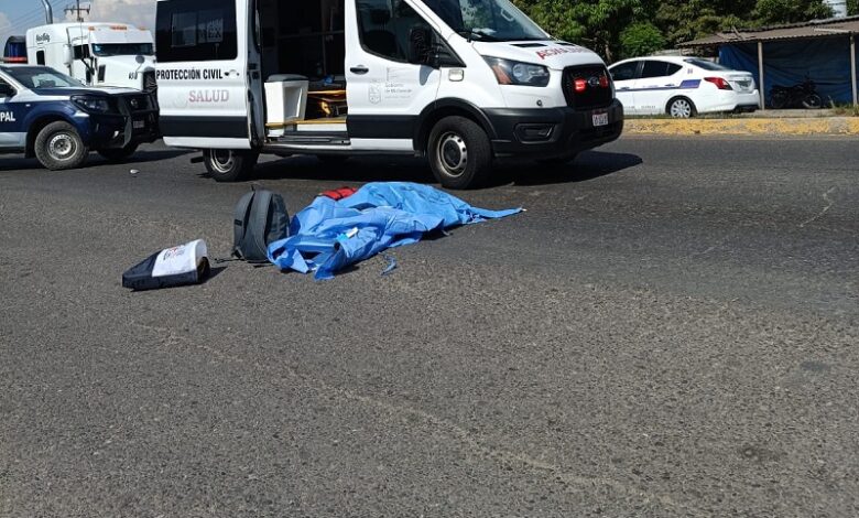 Lázaro Cárdenas, Michoacán, atropellamiento