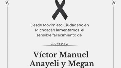 Michoacán, Seguridad, Movimiento Ciudadano