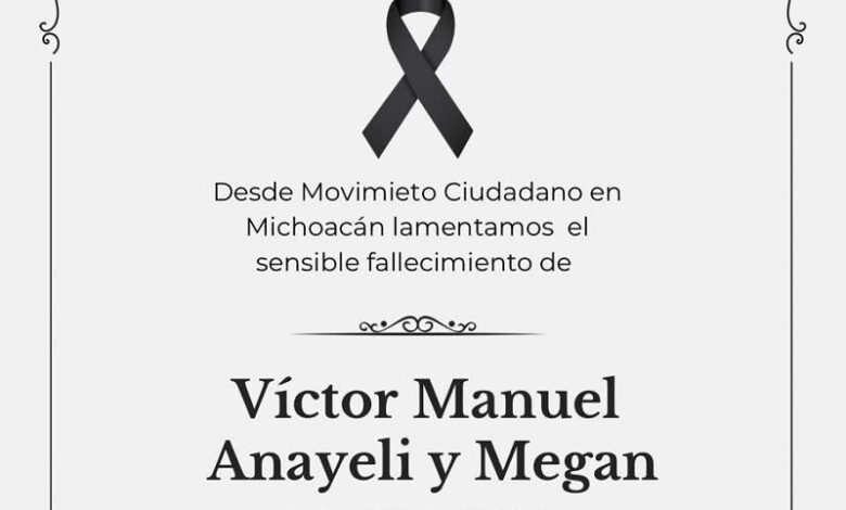 Michoacán, Seguridad, Movimiento Ciudadano