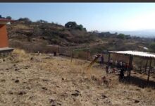 educación, Morelia, infraestructura escolar