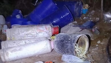 narcotráfico, Michoacán