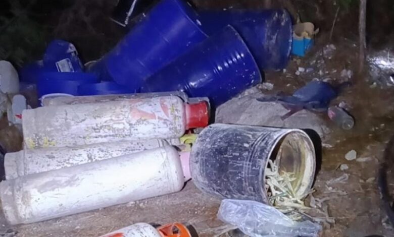 narcotráfico, Michoacán