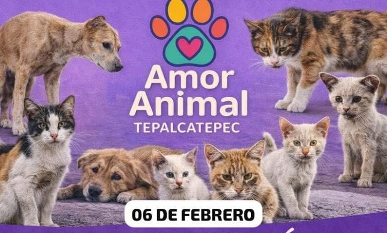 Michoacán, Bienestar animal, Manifestaciones