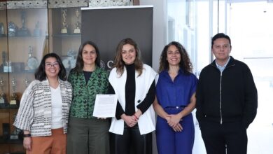 Morelia, cine, Imcine