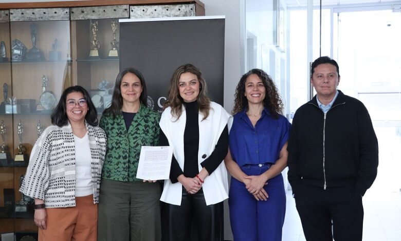 Morelia, cine, Imcine