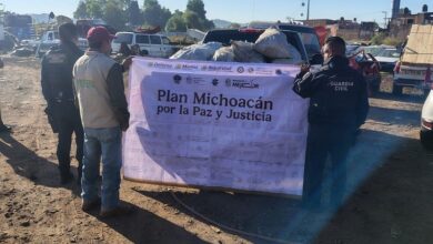 Michoacán, Guardia Civil, Profepa, Agrupamiento Forestal