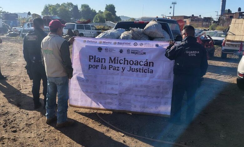 Michoacán, Guardia Civil, Profepa, Agrupamiento Forestal