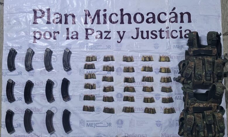 Buenavista, seguridad pública, aseguramiento