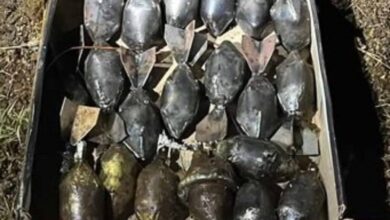 Explosivos asegurados